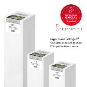 10643603 PAPEL SUGAR CANE (300 gsm, 70% sugar cane fibres, 30% Cotton, natural white) 24" x 12 m