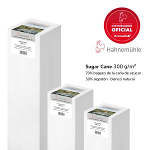 10643601  PAPEL SUGAR CANE (300 gsm, 70% sugar cane fibres, 30% Cotton, natural white) 44" X 12 m